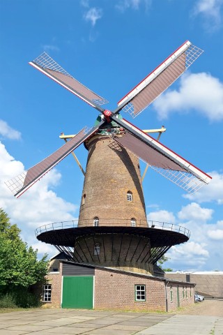 koninginwilhelmina klein